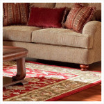 Area Rug Cleaning in Ann Arbor