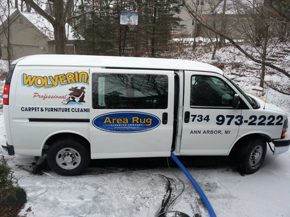 Finding a Carpet Cleaner in Ann Arbor