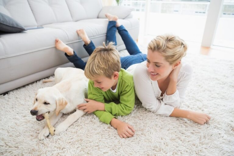 Helpful Tips For Keeping Your Carpet And Rugs Clean