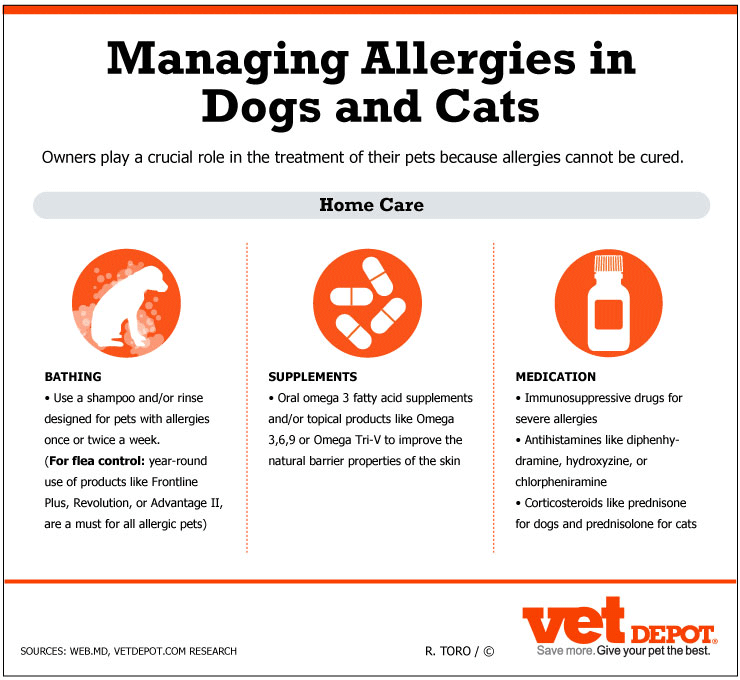 managing-pet-allergies