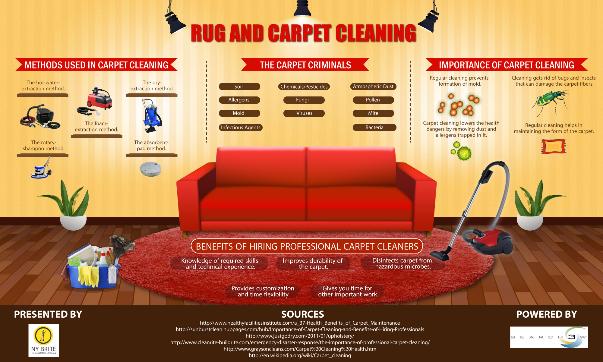 Carpet Cleaning Methods and Importance [Infographic]