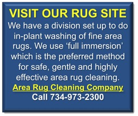 rug cleaning