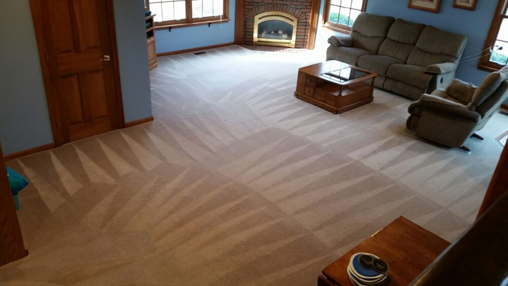 Why Do Landlords Choose Wolverine for Move-Out Carpet Cleaning? Why Do Landlords Choose Wolverine for Move-Out Carpet Cleaning?