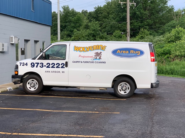 DIY vs. Professional Carpet Cleaning: Which is Best for Your Home? DIY vs. Professional Carpet Cleaning: Which is Best for Your Home?